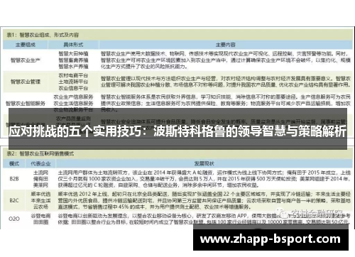应对挑战的五个实用技巧：波斯特科格鲁的领导智慧与策略解析