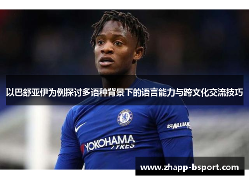 以巴舒亚伊为例探讨多语种背景下的语言能力与跨文化交流技巧