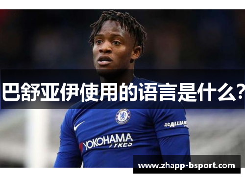 巴舒亚伊使用的语言是什么？