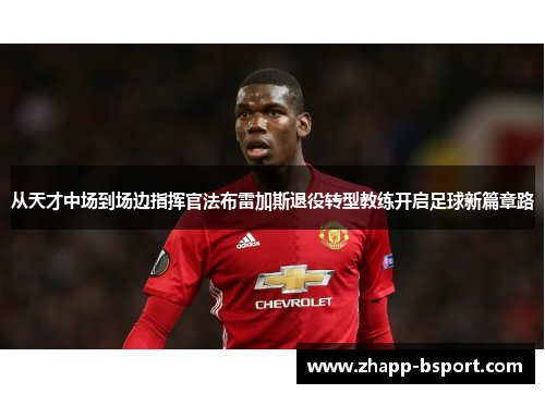从天才中场到场边指挥官法布雷加斯退役转型教练开启足球新篇章路