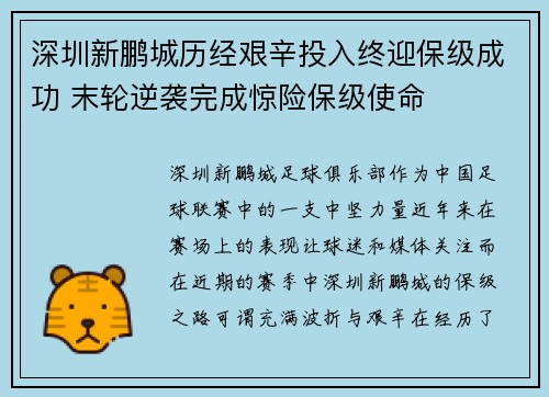 深圳新鹏城历经艰辛投入终迎保级成功 末轮逆袭完成惊险保级使命